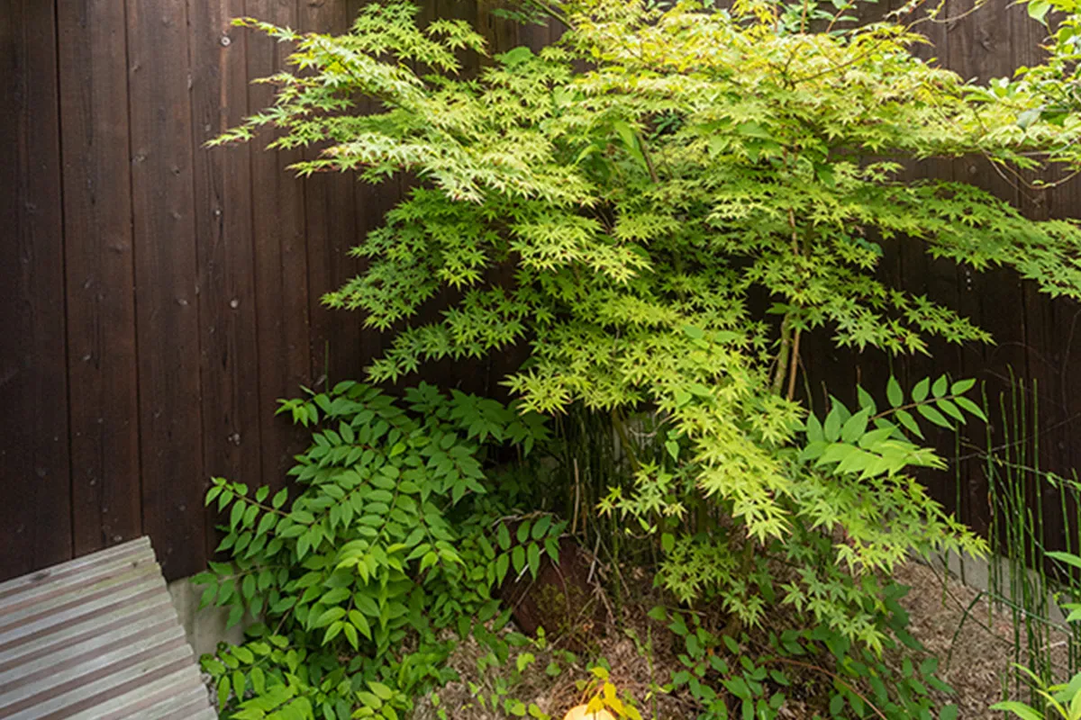 Modern Machiya with Loft and Garden – Living Surrounded by the Greenery of Kyoto Imperial Palace